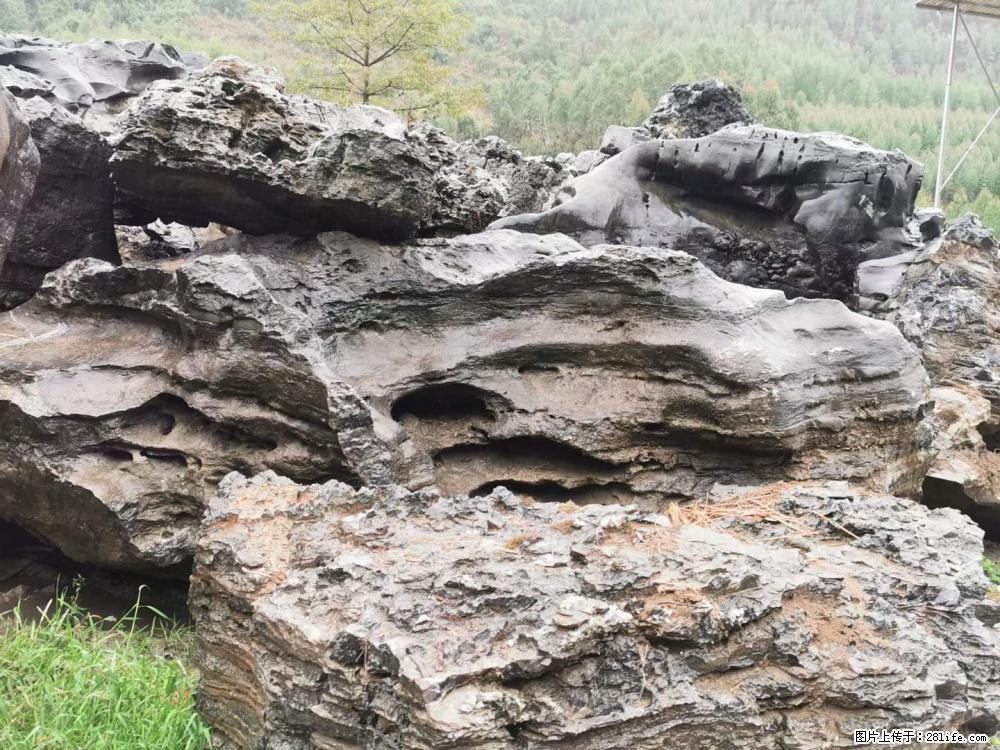 风景石、假山石大量有货，有需要的欢迎联系 - 新手上路 - 太原生活社区 - 太原28生活网 ty.28life.net