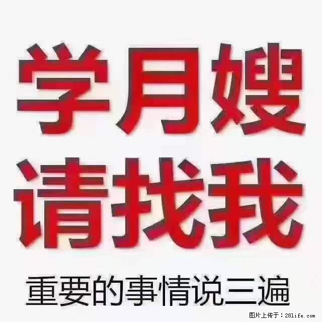 为什么要学习月嫂，育婴师？ - 其他广告 - 广告专区 - 太原分类信息 - 太原28生活网 ty.28life.net