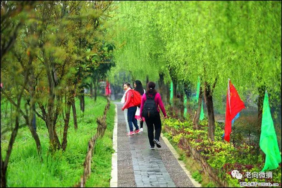 【春天，广西桂林灌阳县向您发出邀请！】江口老街又逢春 - 游山玩水 - 太原生活社区 - 太原28生活网 ty.28life.net