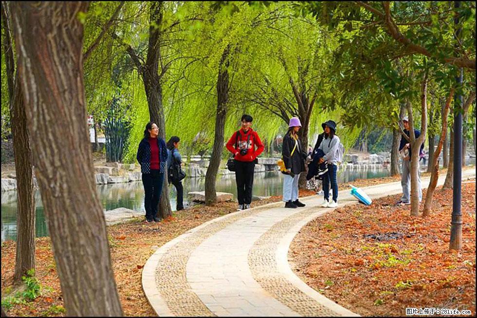 【春天，广西桂林灌阳县向您发出邀请！】江口老街又逢春 - 游山玩水 - 太原生活社区 - 太原28生活网 ty.28life.net