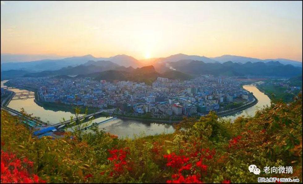 【春天，广西桂林灌阳县向您发出邀请！】登麒麟山，相约映山红 - 游山玩水 - 太原生活社区 - 太原28生活网 ty.28life.net