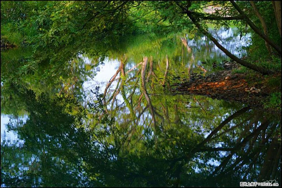 【春天，广西桂林灌阳县向您发出邀请！】熊家寨湿地公园 - 游山玩水 - 太原生活社区 - 太原28生活网 ty.28life.net