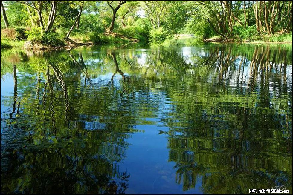 【春天，广西桂林灌阳县向您发出邀请！】熊家寨湿地公园 - 游山玩水 - 太原生活社区 - 太原28生活网 ty.28life.net