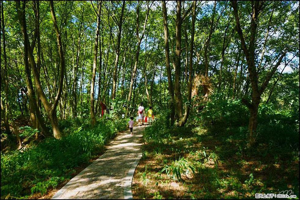 【春天，广西桂林灌阳县向您发出邀请！】熊家寨湿地公园 - 游山玩水 - 太原生活社区 - 太原28生活网 ty.28life.net
