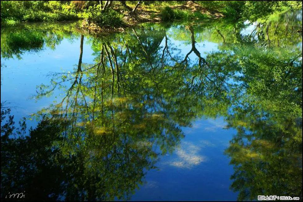 【春天，广西桂林灌阳县向您发出邀请！】熊家寨湿地公园 - 游山玩水 - 太原生活社区 - 太原28生活网 ty.28life.net