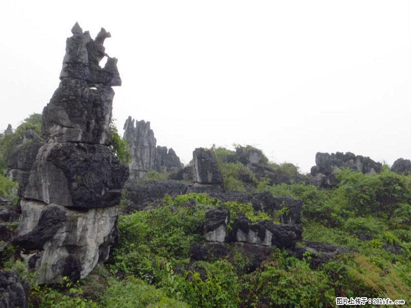 桂林旅游名城景点：灌阳文市石林 - 游山玩水 - 太原生活社区 - 太原28生活网 ty.28life.net