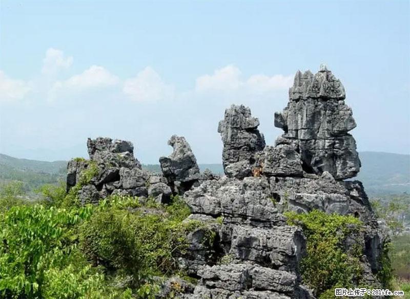 桂林旅游名城景点：灌阳文市石林 - 游山玩水 - 太原生活社区 - 太原28生活网 ty.28life.net