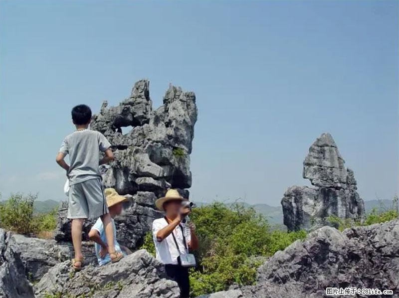 桂林旅游名城景点：灌阳文市石林 - 游山玩水 - 太原生活社区 - 太原28生活网 ty.28life.net
