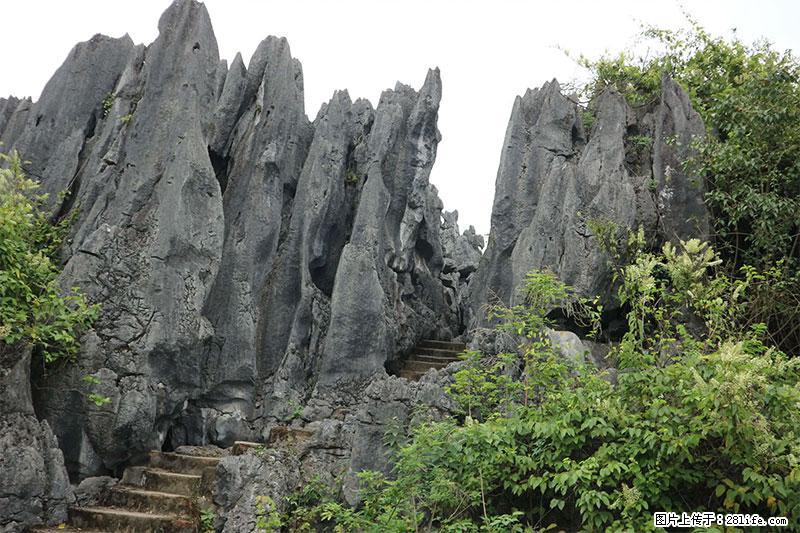 桂林旅游名城景点：灌阳文市石林 - 游山玩水 - 太原生活社区 - 太原28生活网 ty.28life.net