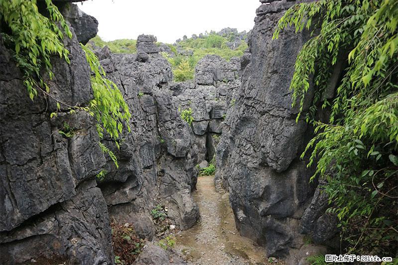 桂林旅游名城景点：灌阳文市石林 - 游山玩水 - 太原生活社区 - 太原28生活网 ty.28life.net
