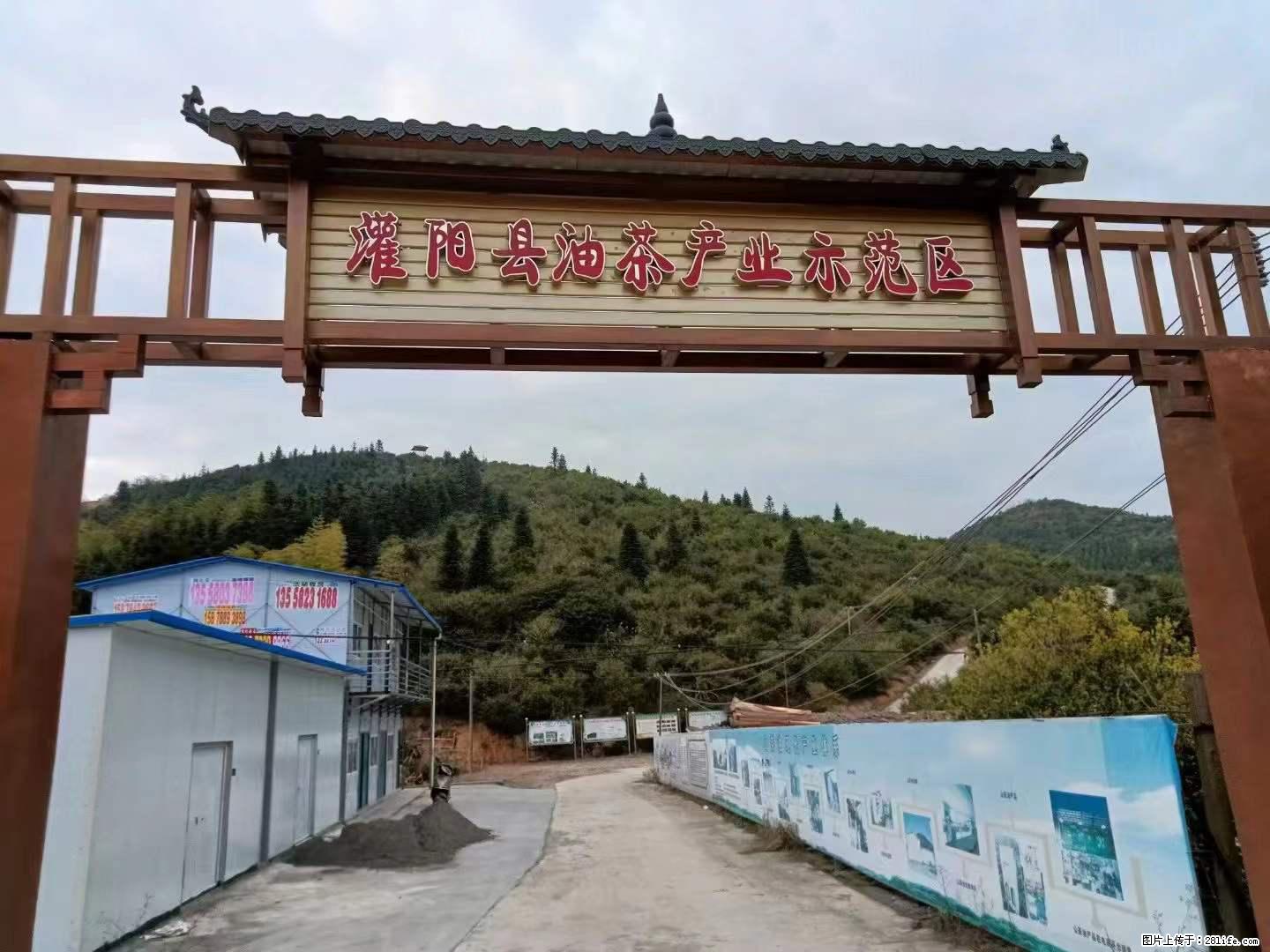【灌阳县油茶产业示范区】一个有着充实的精神生活的人，对待身外之物自会有一种淡泊的态度 - 土特产 - 饮食特产 - 太原分类信息 - 太原28生活网 ty.28life.net