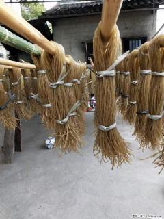 【灌阳正宗红薯粉】美女家里自己做的，干净卫生，假一赔十，价格合理，抢购电话：13737312895 - 太原28生活网 ty.28life.net