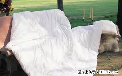 被子有异味?只要这样做,比晒太阳还强100倍! - 家居生活 - 太原生活社区 - 太原28生活网 ty.28life.net