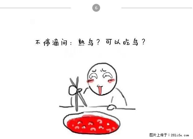 千万不要和这9种哈卵一起吃火锅！ - 美食天地 - 太原生活社区 - 太原28生活网 ty.28life.net