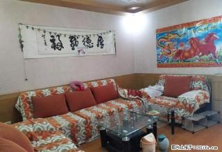 兴安苑 精装修 可月付 拎包入住 小区环境好 - 太原28生活网 ty.28life.net