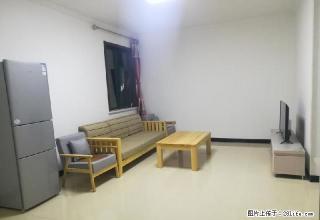 南中环 许西小区 精装齐全 拎包入住 月付无押 小两居 - 太原28生活网 ty.28life.net