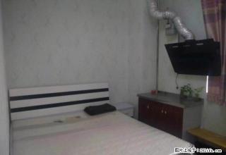 租可月付平阳路学府街口山姆士超市旁滨东花园精装温馨一居拎包住 - 太原28生活网 ty.28life.net