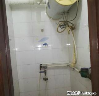 可月付精装标准的两室一厅百融居264医院三菱电梯楼层不高 - 太原28生活网 ty.28life.net