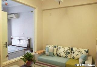 长风街体育西路 北美天美精装1居 家电齐全 随时看房半年付 - 太原28生活网 ty.28life.net