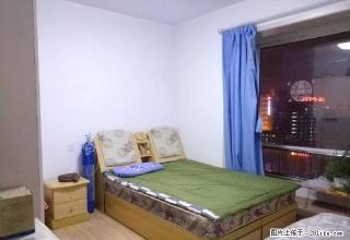建设北路府东街口 天福邸小区 温馨一居精装 交通便利 - 太原28生活网 ty.28life.net