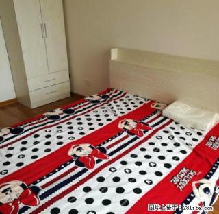 (单间出租)年底急租无中介 下元繁华地段 精装单间 家具家电齐全 拎包住 - 太原28生活网 ty.28life.net