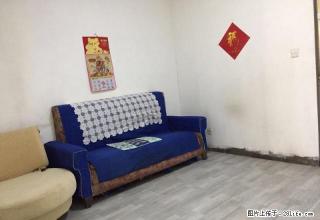 九丰路 原二手车市场 乾泽苑小区 家具齐全 便宜出租 月付 - 太原28生活网 ty.28life.net