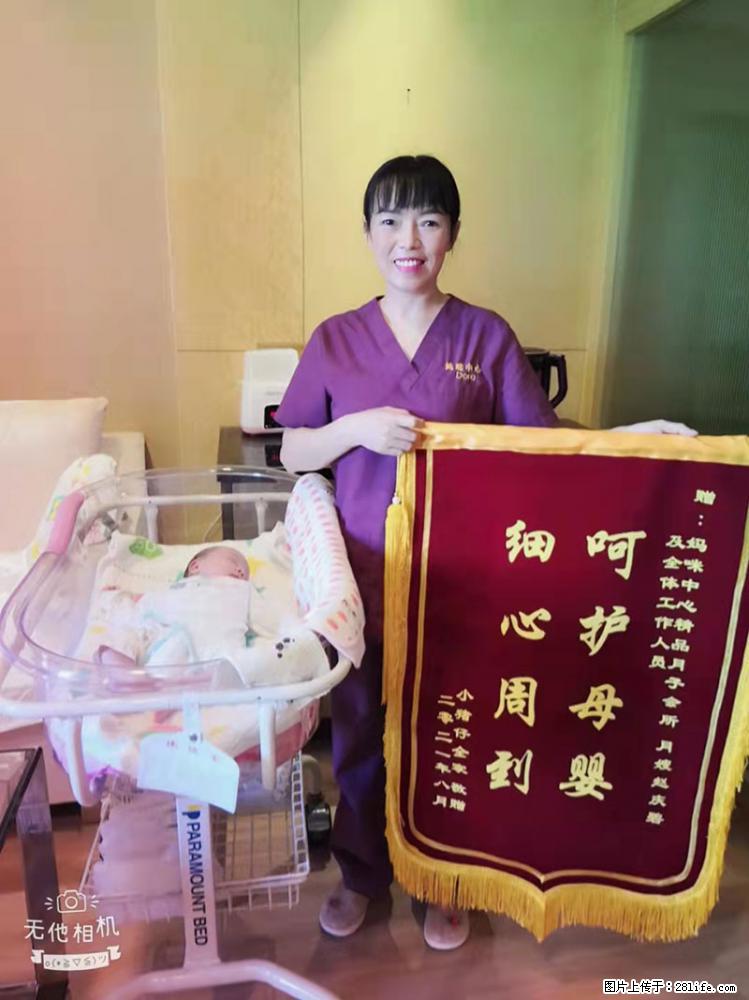 上海高端月子会所招新手月嫂，零基础带教，包吃住 - 职场交流 - 太原生活社区 - 太原28生活网 ty.28life.net