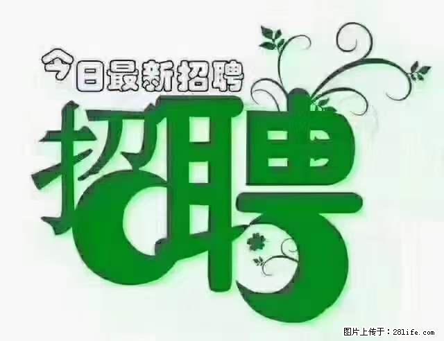 【招聘摄像师】待遇：试用期6000元/月，转正7000元/月+五险一金+餐补+节日福利+奖金 - 其他招聘信息 - 招聘求职 - 太原分类信息 - 太原28生活网 ty.28life.net