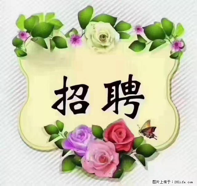 【招聘】住家育儿嫂，上户日期：4月4日，工作地址：上海 黄浦区 - 职场交流 - 太原生活社区 - 太原28生活网 ty.28life.net