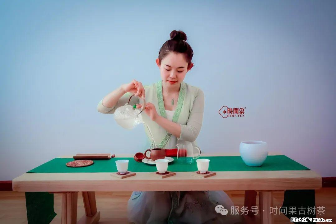 时间果百年古树龙珠普洱生茶 - 购物交流 - 太原生活社区 - 太原28生活网 ty.28life.net
