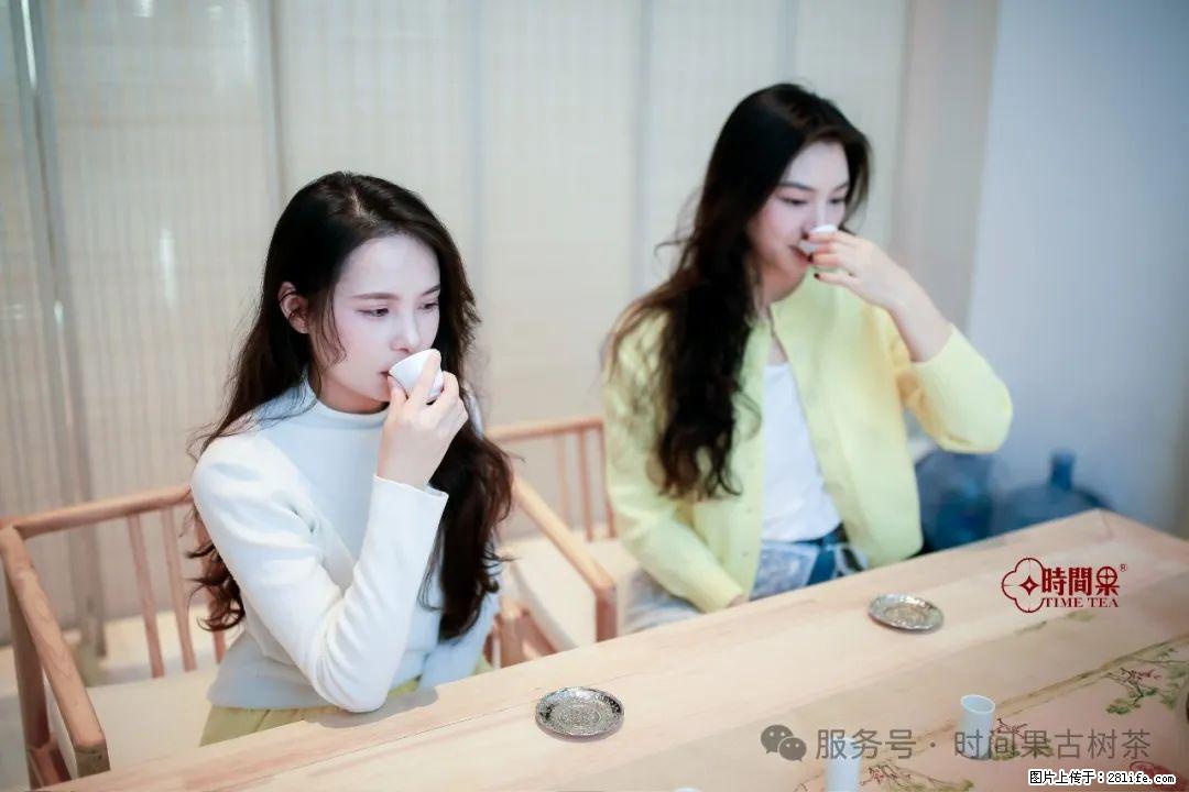 时间果百年古树龙珠普洱生茶 - 购物交流 - 太原生活社区 - 太原28生活网 ty.28life.net