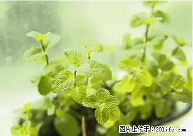 晕车、脚气、牙齿变黄、皮肤粗糙?学会这些三分钟搞定! - 太原生活资讯 - 太原28生活网 ty.28life.net