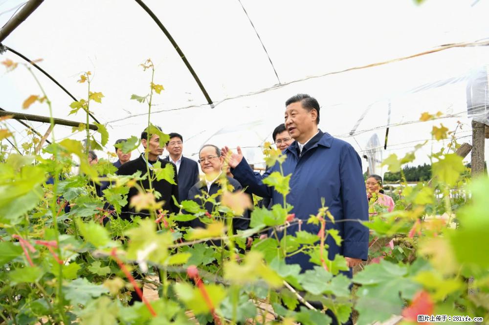 习近平赴广西考察调研 - 太原生活资讯 - 太原28生活网 ty.28life.net