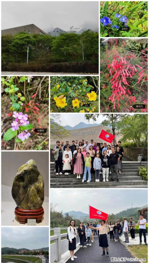 “粤灌文化 美好生活”油茶文化主题活动在广东深圳成功举办 - 太原生活资讯 - 太原28生活网 ty.28life.net