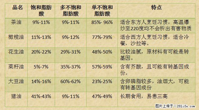 揭秘茶油的5大核心营养成分！被称为人体健康的“守护盾”！ - 太原生活资讯 - 太原28生活网 ty.28life.net