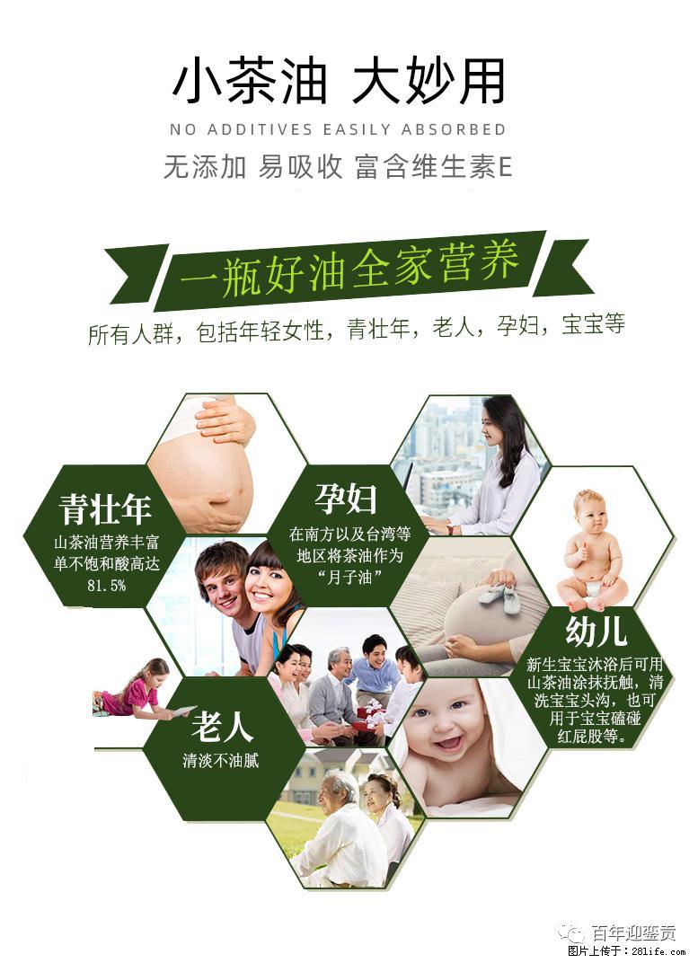 世界没有真相，只有认知，最好的食用油是中国的山茶油！ - 太原生活资讯 - 太原28生活网 ty.28life.net