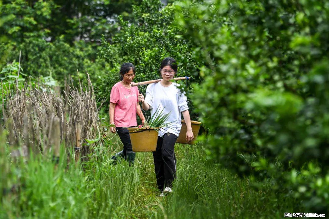 全网追的“扁担女孩”，找了一份暑假工，时薪12元 - 太原生活资讯 - 太原28生活网 ty.28life.net