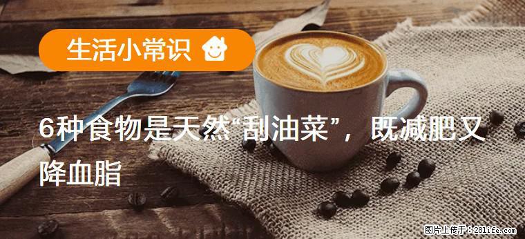 【生活小常识】6种食物是天然“刮油菜”，既减肥又降血脂 - 太原生活资讯 - 太原28生活网 ty.28life.net