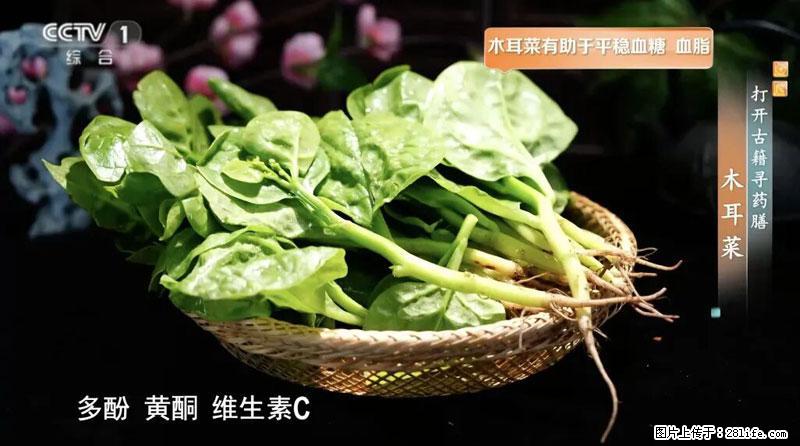 比牛奶补钙还厉害！凉血解毒、稳血糖...这菜冬天必吃，很多人却当草 - 太原生活资讯 - 太原28生活网 ty.28life.net