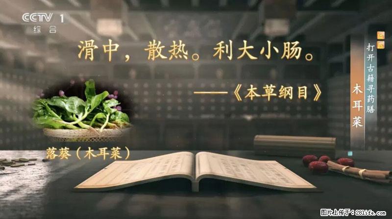 比牛奶补钙还厉害！凉血解毒、稳血糖...这菜冬天必吃，很多人却当草 - 太原生活资讯 - 太原28生活网 ty.28life.net