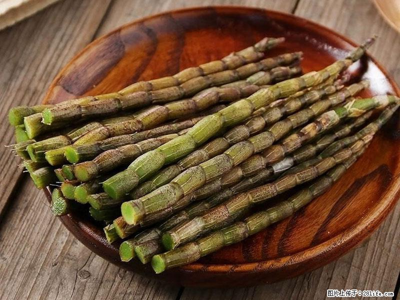 铁皮石斛的作用与功能主治 - 太原生活资讯 - 太原28生活网 ty.28life.net