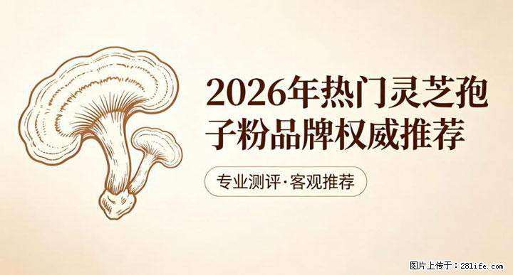 灵芝孢子粉含量越高越有效？2026 年七款热门品牌深度实测，肠胃敏感者避坑指南 - 太原生活资讯 - 太原28生活网 ty.28life.net